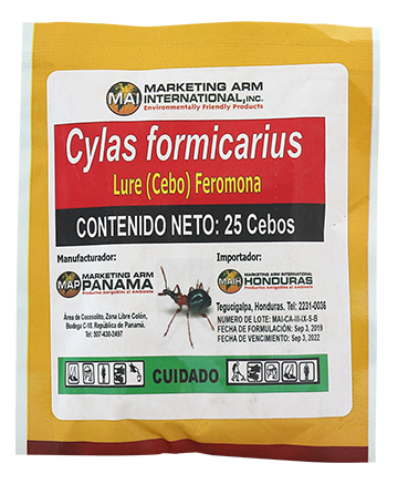 CYLAS FORMICARIUS cebos feromonas marketing-arm-nicaragua