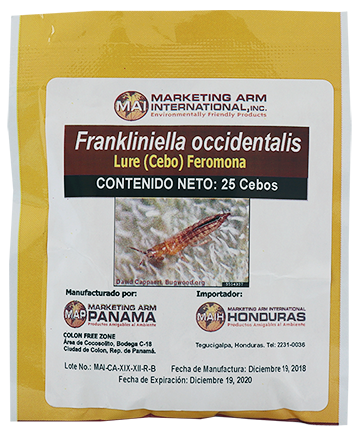 FRANKLINIELLA OCCIDENTALIS-cebos-feromonas-marketing-arm-nicaragua