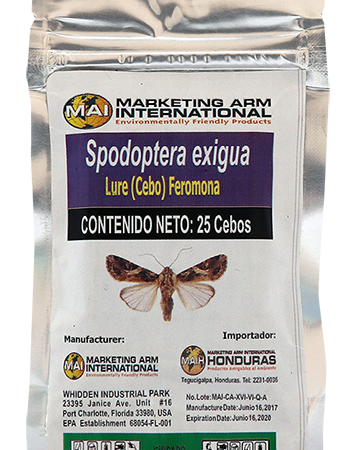 SPODOPTERA EXIGUA cebos feromonas marketing-arm-nicaragua