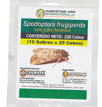 spodoptera-frugiperda-cebo-marketing-arm-nicaragua