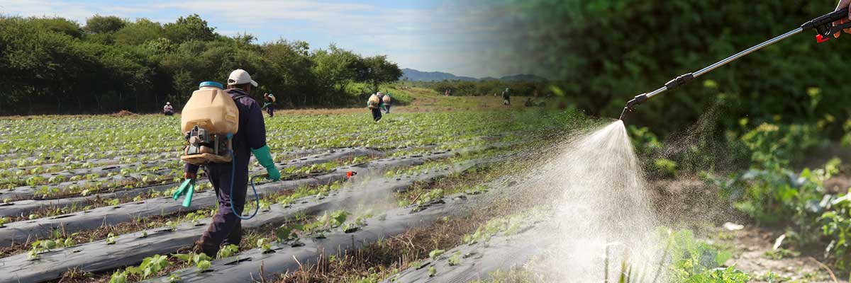 La-importancia-del-agua-en-la-agricultura-marketing-arm-nicaragua
